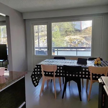 Ristimaeenkatu Apartamento *