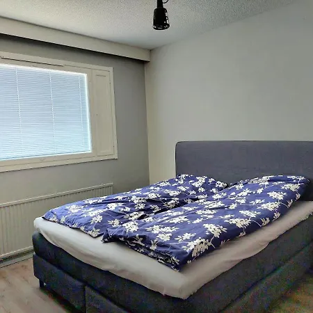 Ristimaeenkatu Apartamento *